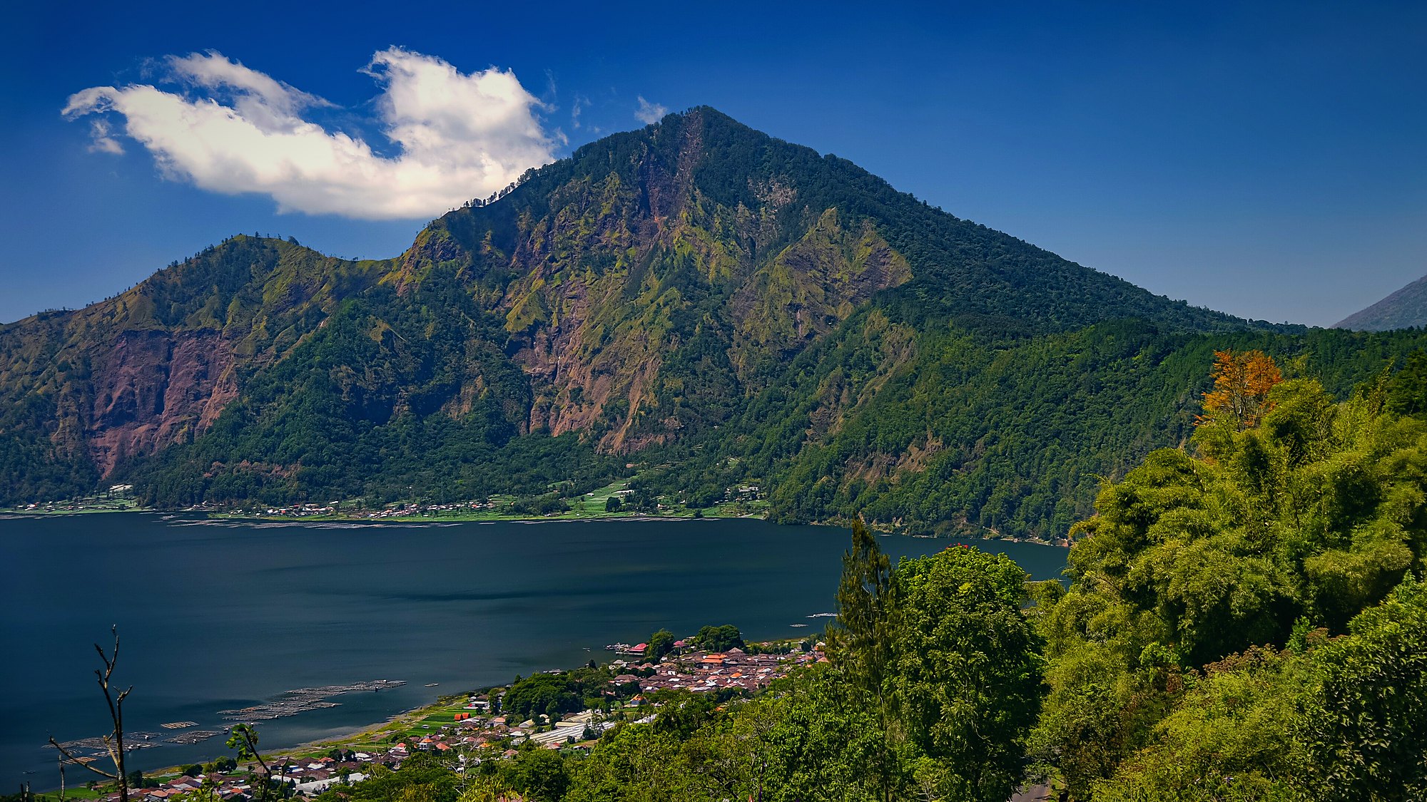 Kintamani